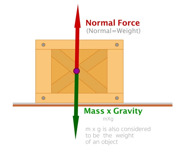 Mastering Newton's Laws of Motion: Simple Tricks, Real-Life Examples, and Visual Aids 7 free body diagram normal force 600nw 2241787581